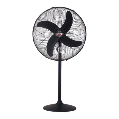 Royal Deluxe 16-inch Adjustable Pedestal AC/DC Stand Fan
